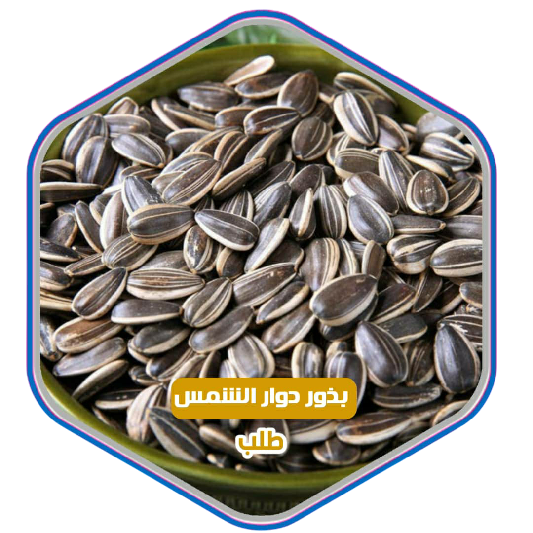 Photoroom-٢٠٢٥٠١١٧_١٩٤٠١٦